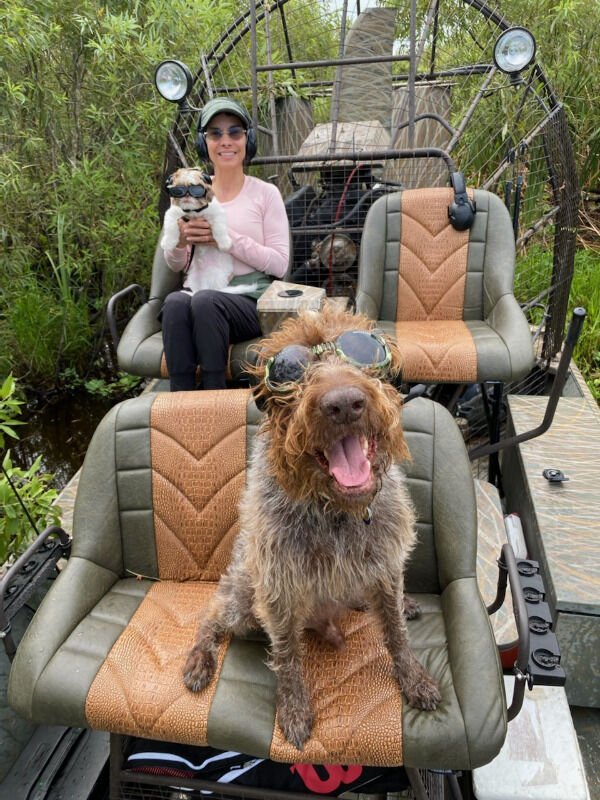 Atmospheric Hiking Photos (41 pics) Atmospheric Hiking Photos (41 pics)