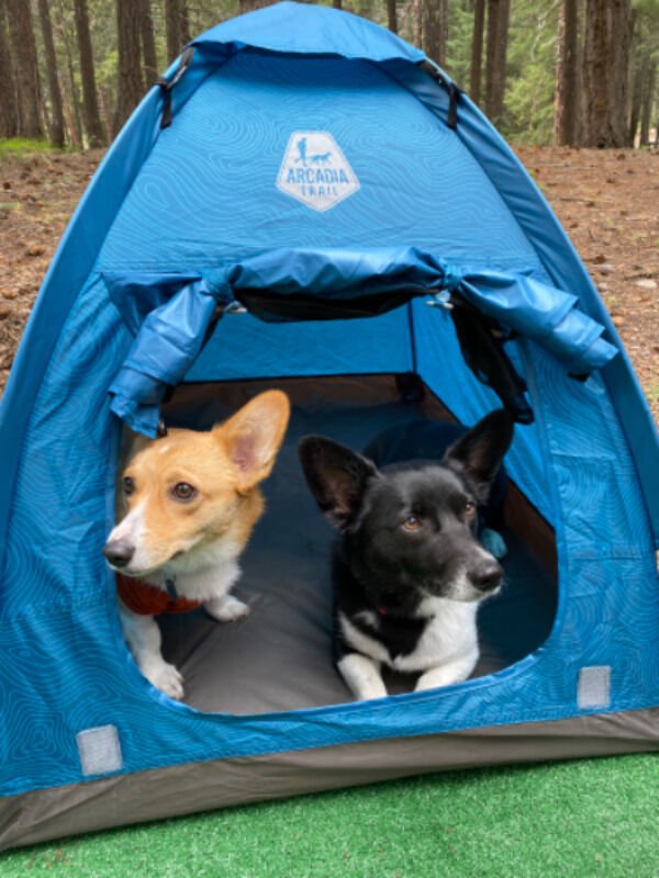 Atmospheric Hiking Photos (41 pics) Atmospheric Hiking Photos (41 pics)