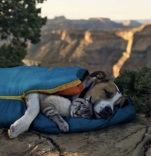 Atmospheric Hiking Photos (41 pics) Atmospheric Hiking Photos (41 pics)