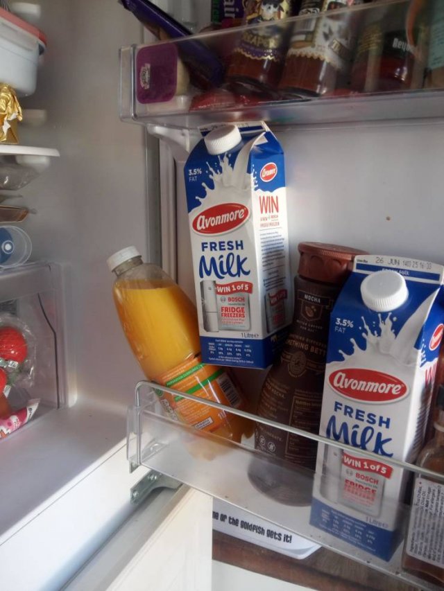 Lazy People (23 pics)