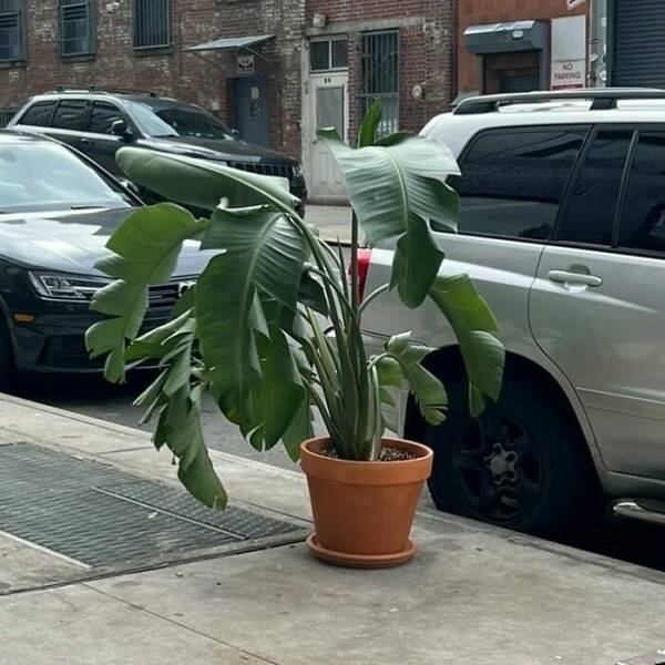 Cool Free Finds (15 pics)