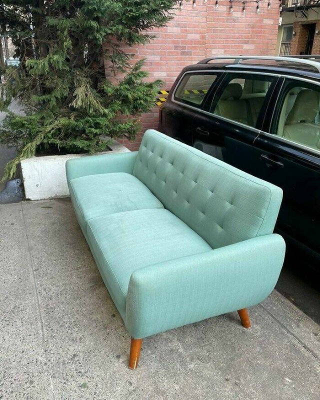 Cool Free Finds (15 pics)