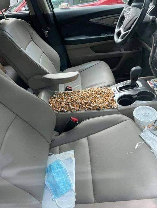 Lazy People (23 pics)