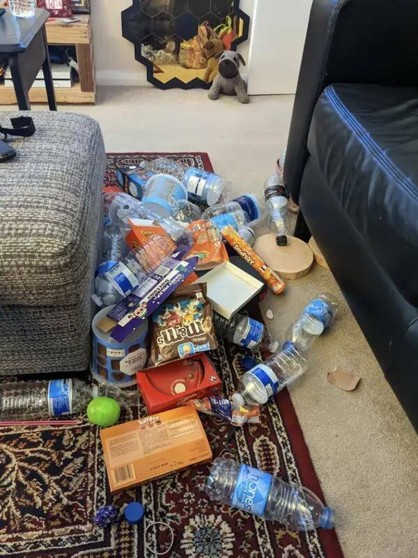 Annoying Habits Of Spouses (20 pics)