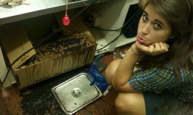 People Share Photos From Their Workplaces (48 pics) People Share Photos From Their Workplaces (48 pics)