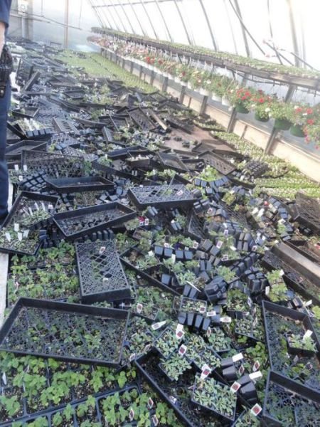 People Share Photos From Their Workplaces (48 pics) People Share Photos From Their Workplaces (48 pics)