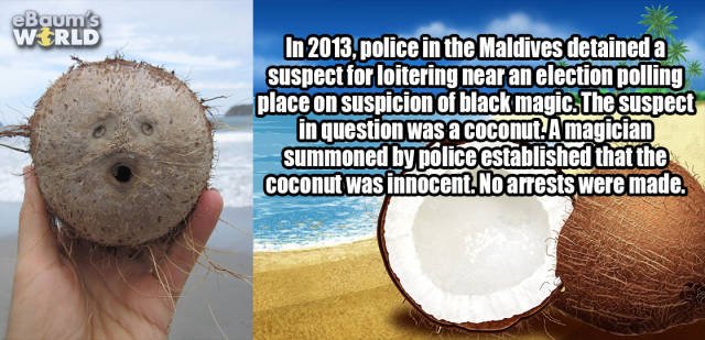 Random Facts (24 pics) Random Facts (24 pics)