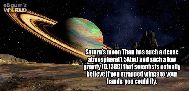 Random Facts (24 pics) Random Facts (24 pics)