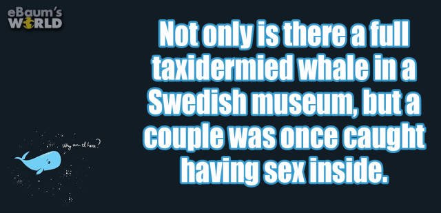 Random Facts (24 pics) Random Facts (24 pics)
