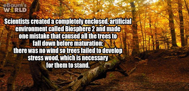 Random Facts (24 pics) Random Facts (24 pics)