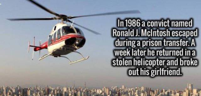 Random Facts (24 pics)
