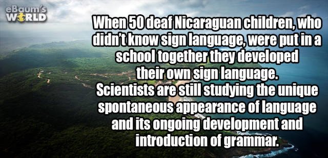 Random Facts (24 pics) Random Facts (24 pics)