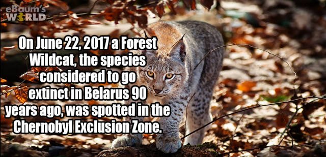 Random Facts (24 pics) Random Facts (24 pics)