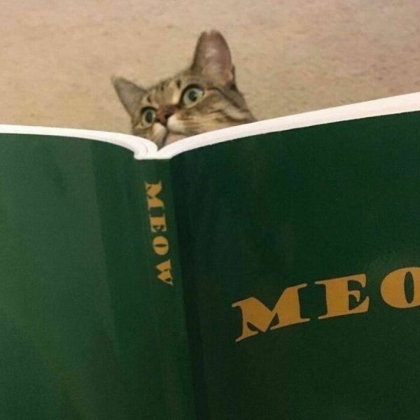 What Is Going On Here? (29 pics)