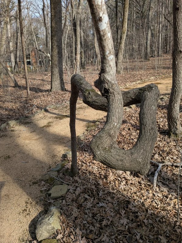 Interesting Finds (23 pics)