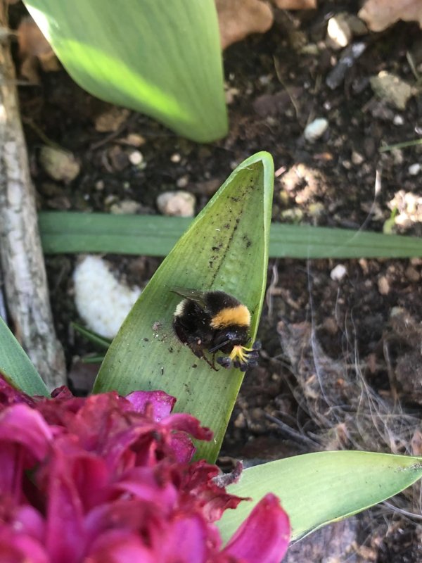 Interesting Finds (23 pics)