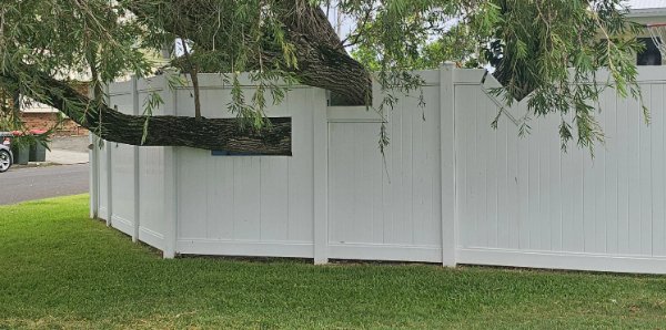 Interesting Finds (23 pics)