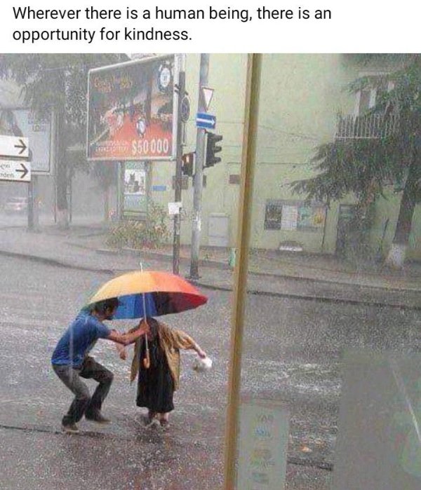 Kind Posts And Photos (21 pics) Kind Posts And Photos (21 pics)