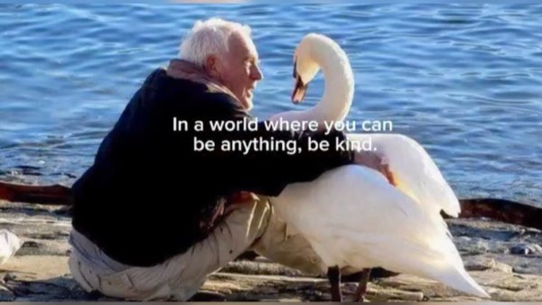 Kind Posts And Photos (21 pics) Kind Posts And Photos (21 pics)