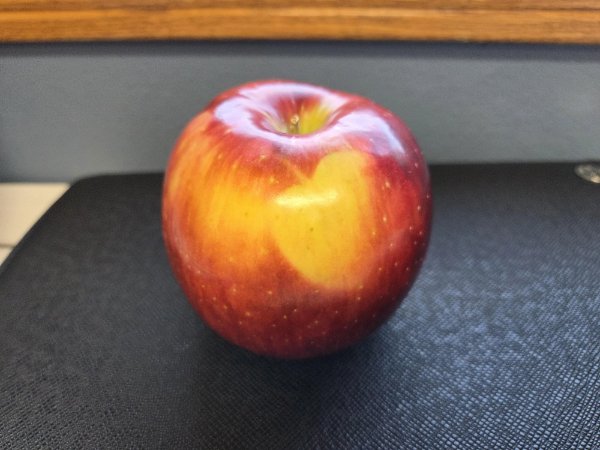 Interesting Finds (23 pics)