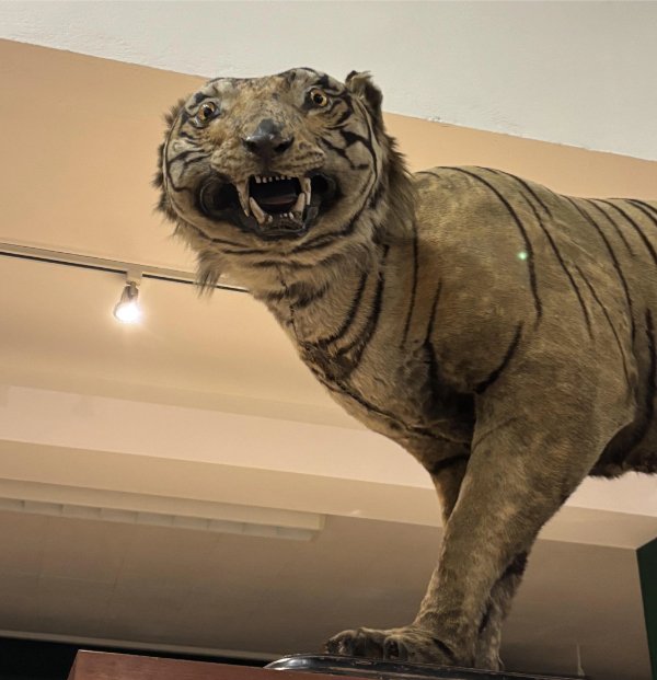 Interesting Finds (23 pics)