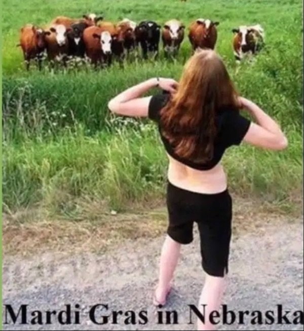 Funny Memes (37 pics)