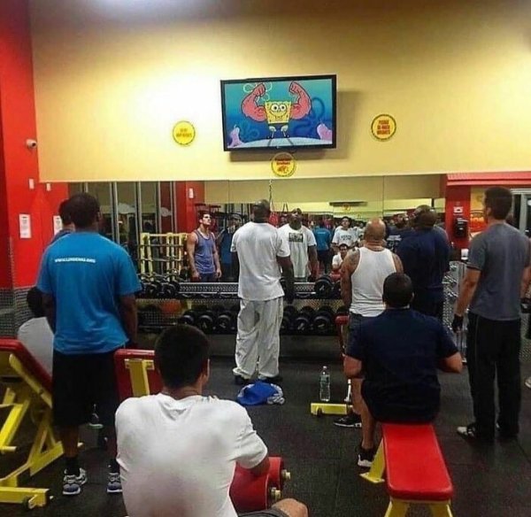 What Is Going On Here? (29 pics) What Is Going On Here? (29 pics)