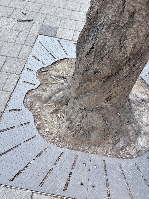 Interesting Finds (23 pics)