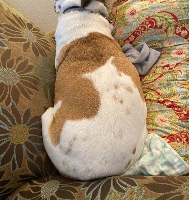 Amazing Nature (37 pics) Amazing Nature (37 pics)