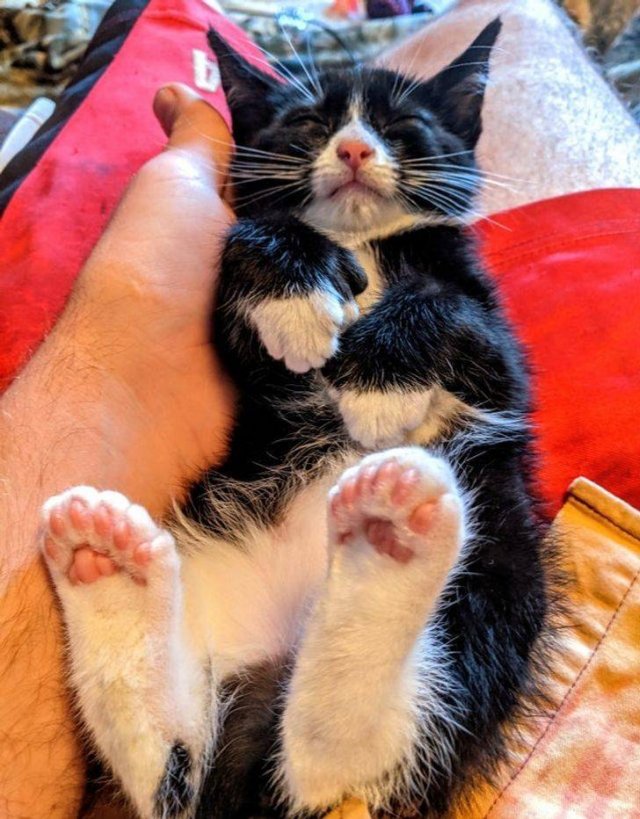 Amazing Nature (37 pics) Amazing Nature (37 pics)