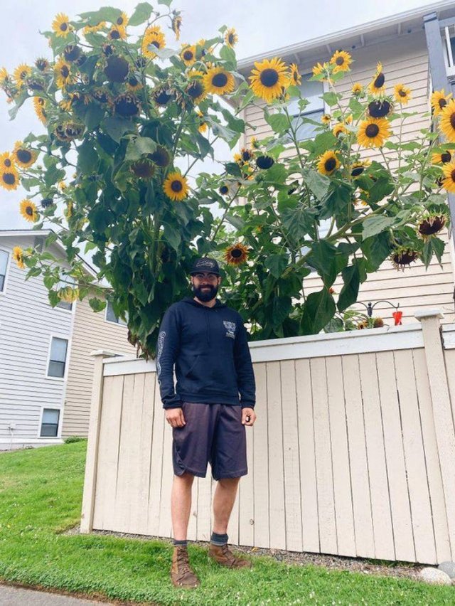 Amazing Nature (37 pics) Amazing Nature (37 pics)