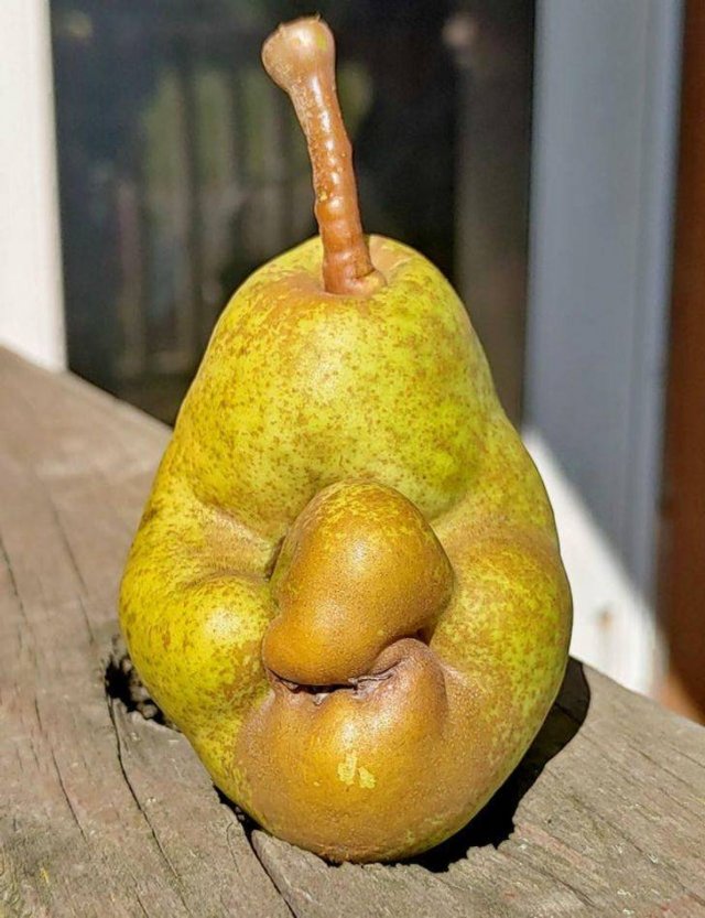 Amazing Nature (37 pics) Amazing Nature (37 pics)