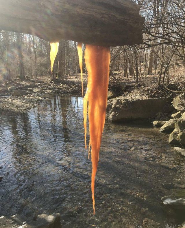 Amazing Nature (37 pics) Amazing Nature (37 pics)