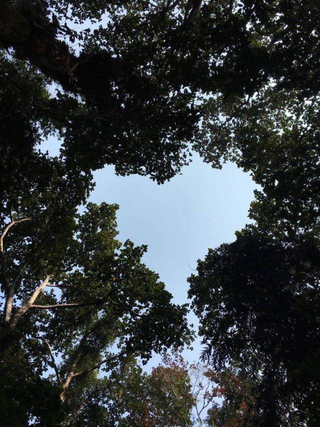 Amazing Nature (37 pics) Amazing Nature (37 pics)