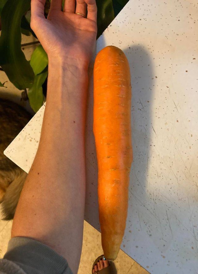 Amazing Nature (37 pics) Amazing Nature (37 pics)