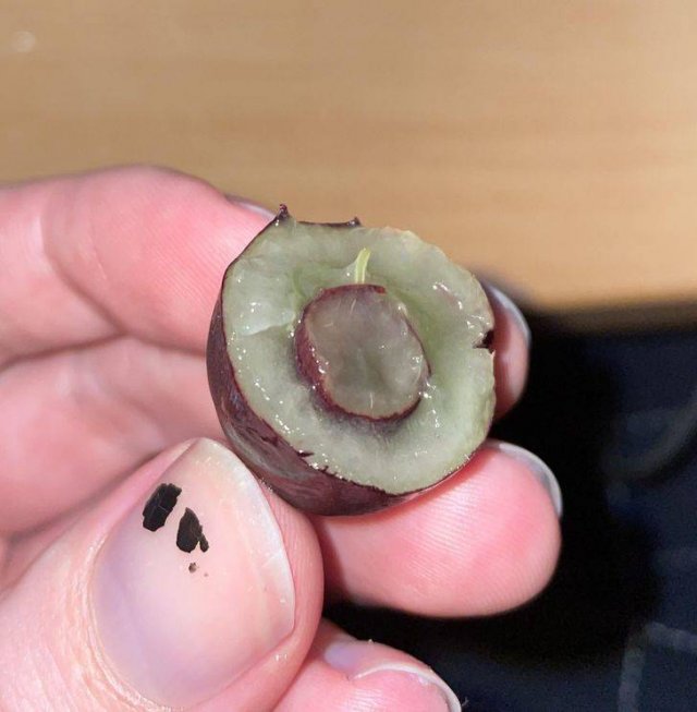 Amazing Nature (37 pics) Amazing Nature (37 pics)