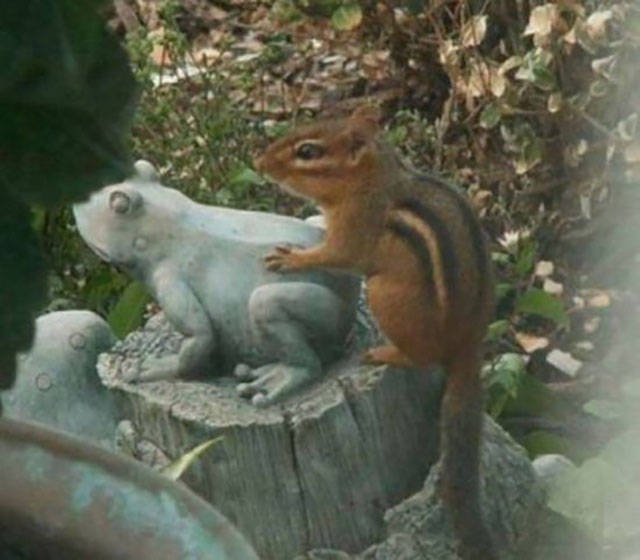 Unfortunate Situations (45 pics) Unfortunate Situations (45 pics)