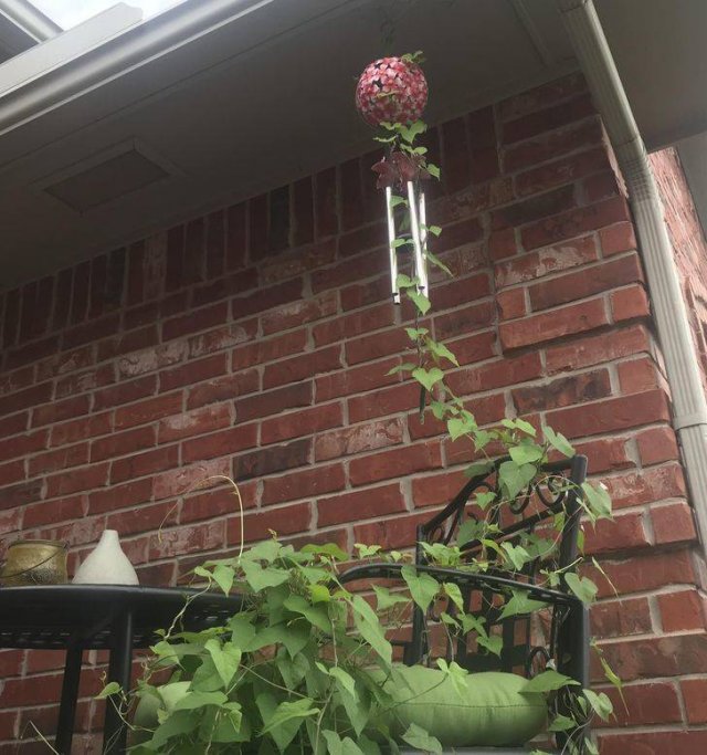 Amazing Nature (37 pics) Amazing Nature (37 pics)