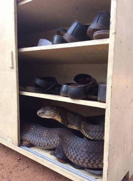 Unfortunate Situations (45 pics) Unfortunate Situations (45 pics)