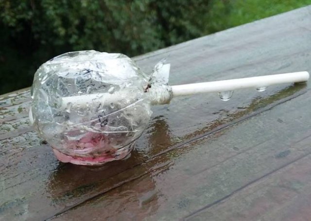 Amazing Nature (37 pics) Amazing Nature (37 pics)