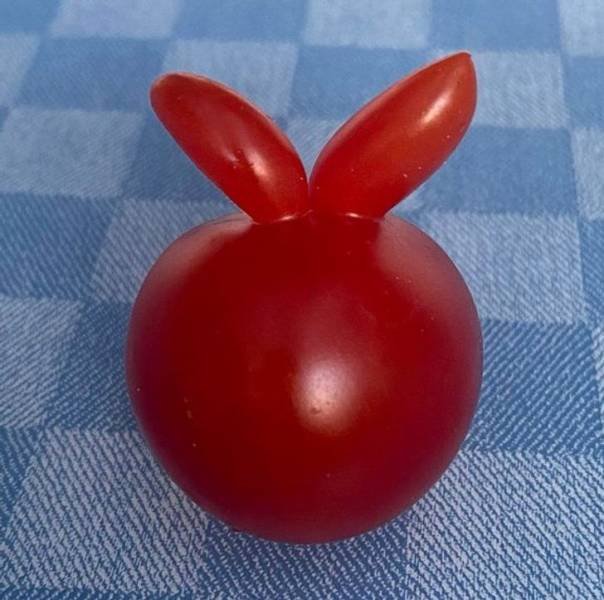 Amazing Nature (37 pics) Amazing Nature (37 pics)