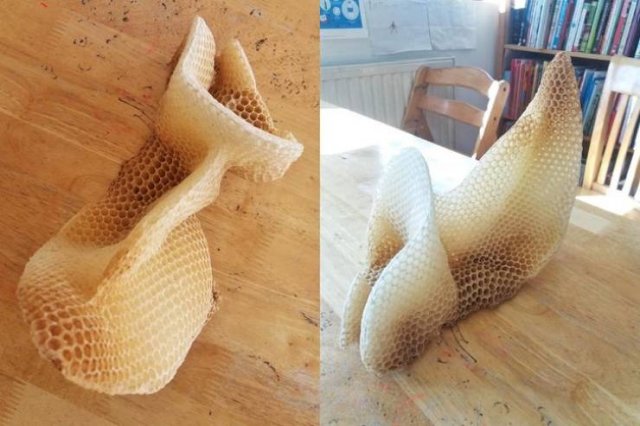 Amazing Nature (37 pics) Amazing Nature (37 pics)