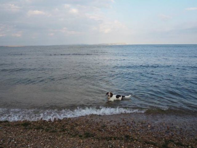 Amazing Nature (37 pics) Amazing Nature (37 pics)