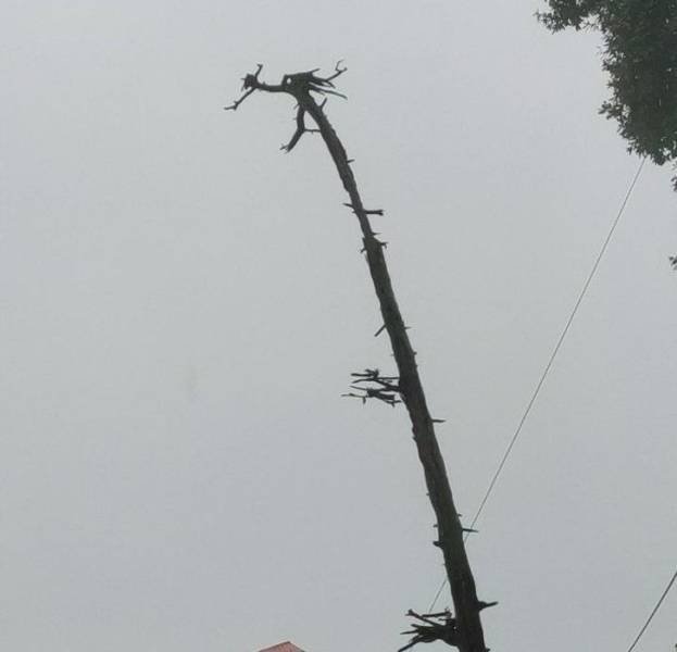 Amazing Nature (37 pics) Amazing Nature (37 pics)