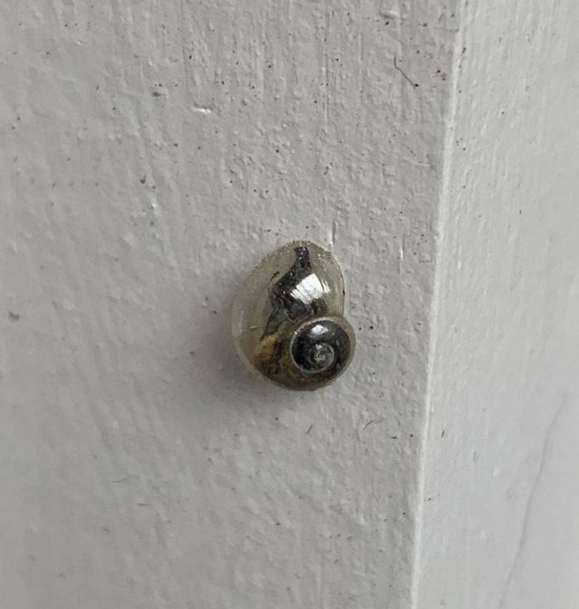 Amazing Nature (37 pics) Amazing Nature (37 pics)