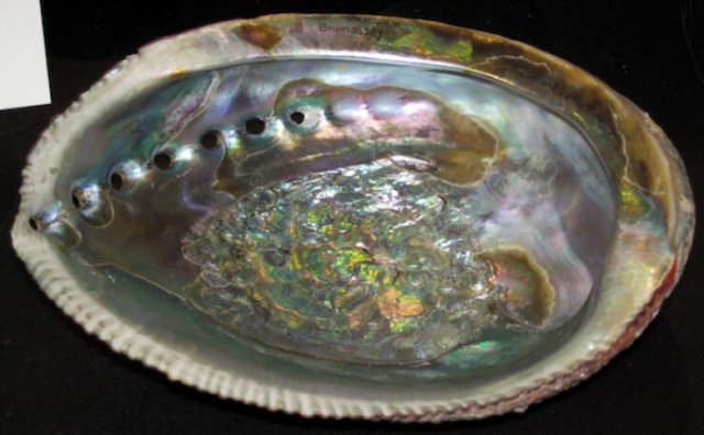 Random Facts (6 pics + 11 gifs)