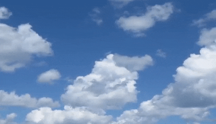 Random Facts (6 pics + 11 gifs)