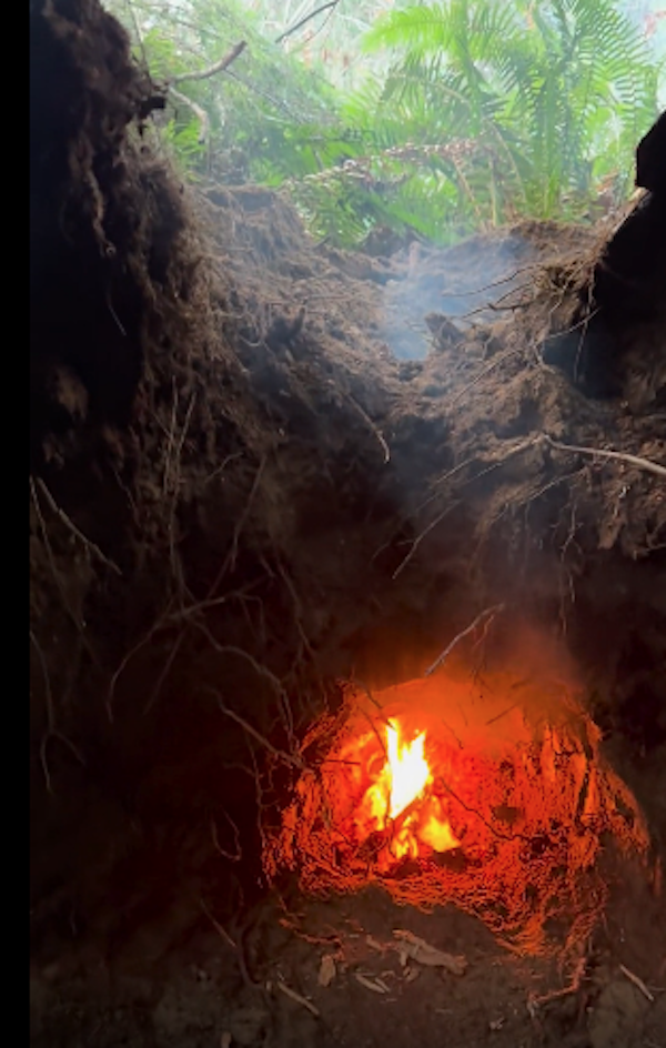 Atmospheric Bushcraft Photos (20 pics)