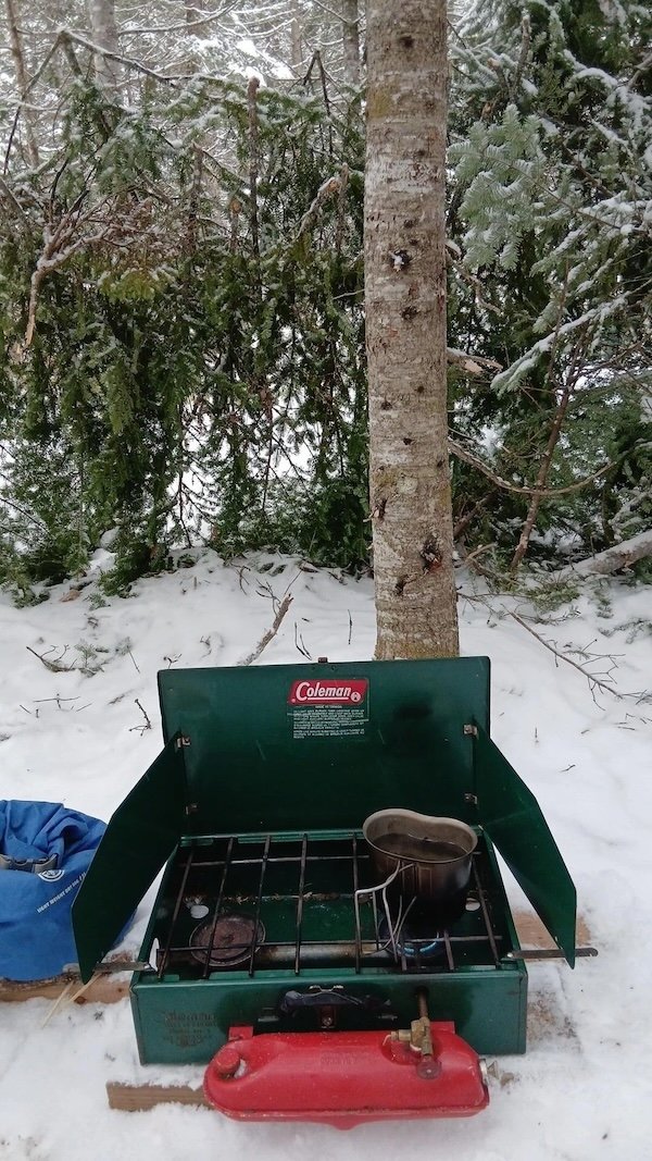 Atmospheric Bushcraft Photos (20 pics)