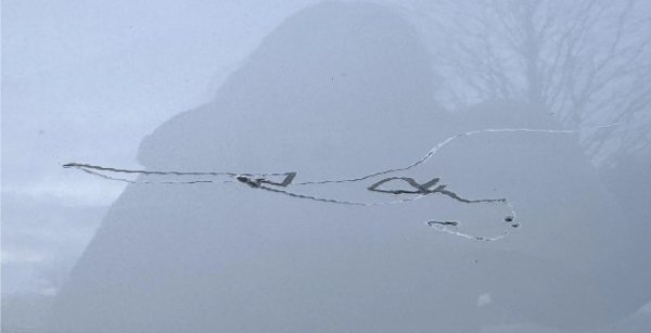 Bad Days Happen (24 pics)